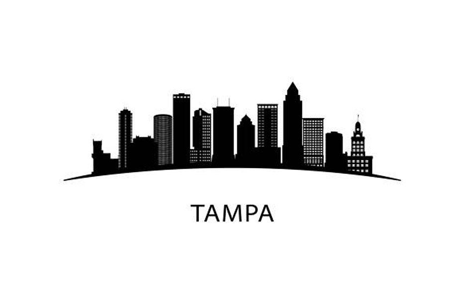 Tampa bay cartoon